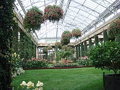 293 Longwood Gardens [2008 August 23]